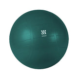 Commercial Stability Ball